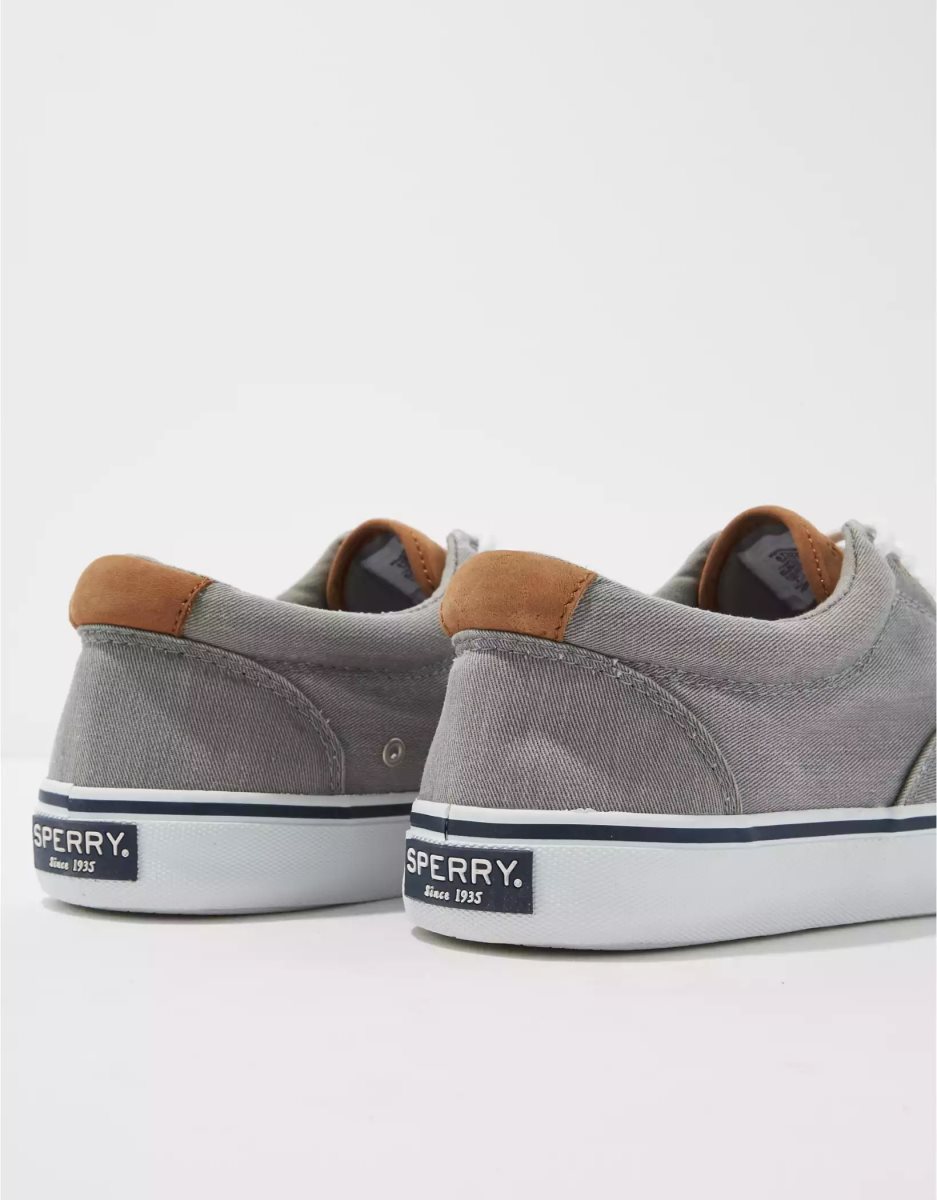 Chaussures Casual American Eagle Sperry Striper II CVO Sneaker Grise Homme | UID-09521994